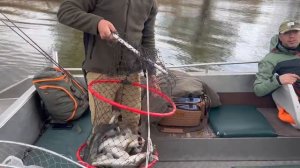 Рыбалка в Астрахани 2023