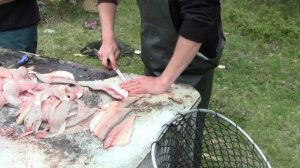 Как быстро и легко почистить рыбу. Рыбалка в Манитобе. Рыбалка в Канаде. Eagle Nest Resorts