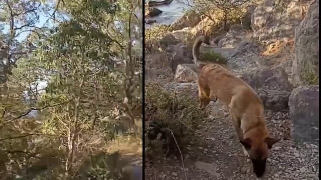 НАКИПЕЛО и ВЫСКАЗАЛАСЬ. Жительница Херсонской обл рассказала КАК ЕСТЬ. смотреть онлайн