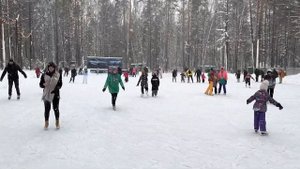 Зимний досуг Сибиряков. Обзор эко -парка Чкаловские дачи в Новосибирске в зимнем лесу