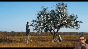 КЛИНАП для ленивых в Premiere Pro