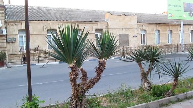 Дербент пешком. Набережная и городской пляж. Итоги второго дня #3
