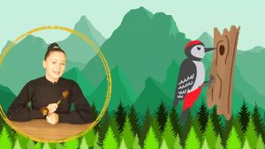 Музыкальная минутка "Ритмическая песенка про дятла"