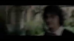 Драко и Гермиона (Драмиона)