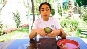 Размножаем Эхиверию