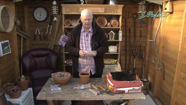 How to Plant Snowdrops: Spring Garden Guide смотреть онлайн