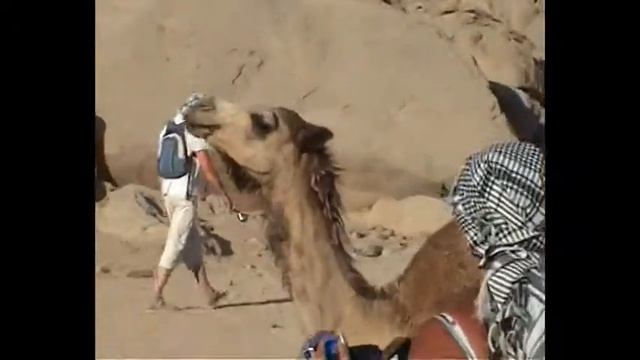 Спасибо русским туристам.mpg смотреть онлайн