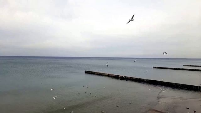 Балтийское море - Зеленоградск