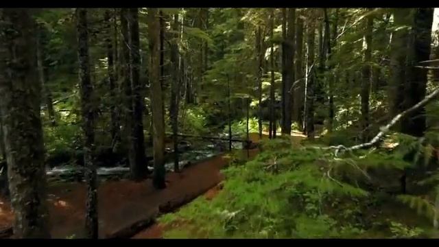 ЧИСЛО РОЖДЕНИЯ 31 . Как влияет на характер и судьбу человека? Нумерология. смотреть онлайн