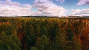 Золото Забайкалья. Начало