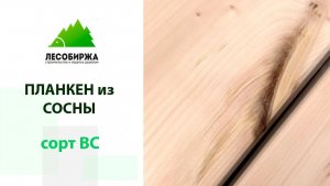 Как выглядит планкен из сосны в сорте ВС