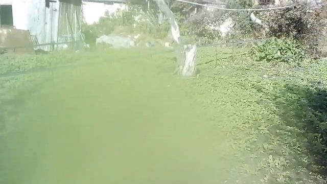 Полив огорода спрей лента туман.