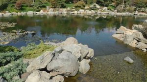 японский сад(Краснодар)