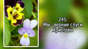 Гимны надежды 245 Мы - верные слуги Христовы (-)