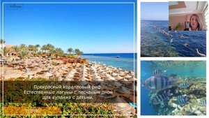 Nubian Village 5* - отель с аквапарком, Шарм-Эль-Шейх Египет