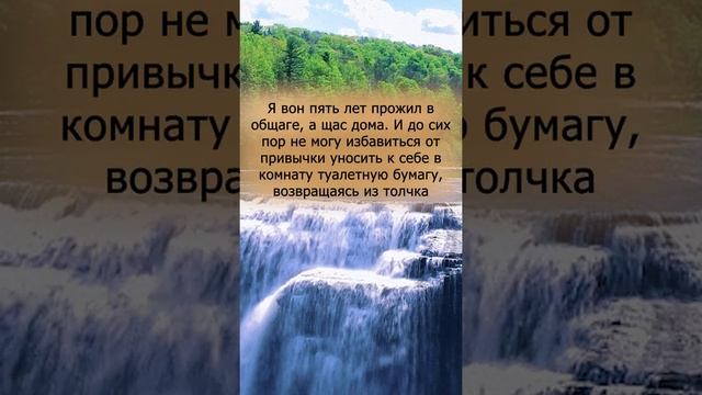 Инвесторы биткоинов, Из за живота его не видно |Анекдоты| #анекдот#анекдотпро#смешнойанекдот