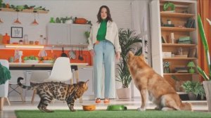 Четыре Лапы - комбинированный рекламный ролик о быстрой доставке