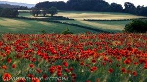 "Серёжа, я занята, перезвоню позже" - жена усмехнулась и обняла любовника. Но она не знала, что...