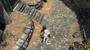 Skyrim Mod : White Werewolf