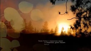 Ты даёшь мне милость