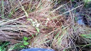 САМОДЕЛЬНАЯ ПРИМАНКА НА ЩУКУ ПО ГУСТОЙ ТРАВЕ