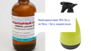 ИЗБАВИТЬСЯ ОТ ТЛИ-ЛЕГКО!!! Натуральные и химические способы избавления от тли.