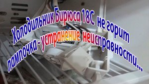 Холодильник Бирюса 18С не горит лампочка-устранение неисправности