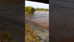 28.06.19 река Бирюса, затопило несколько деревень