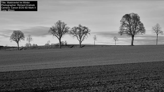 Richard Kralicek (Canon EOS 6D Mark II) - #LuminousTalentsPhotography-993 смотреть онлайн