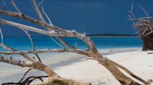 Как исправить ошибку 0xc0000142 в Windows 11