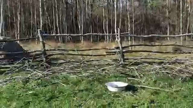 Вскрыли гараж с подписчицей . Ценные вещи для хутора из гаража ! смотреть онлайн