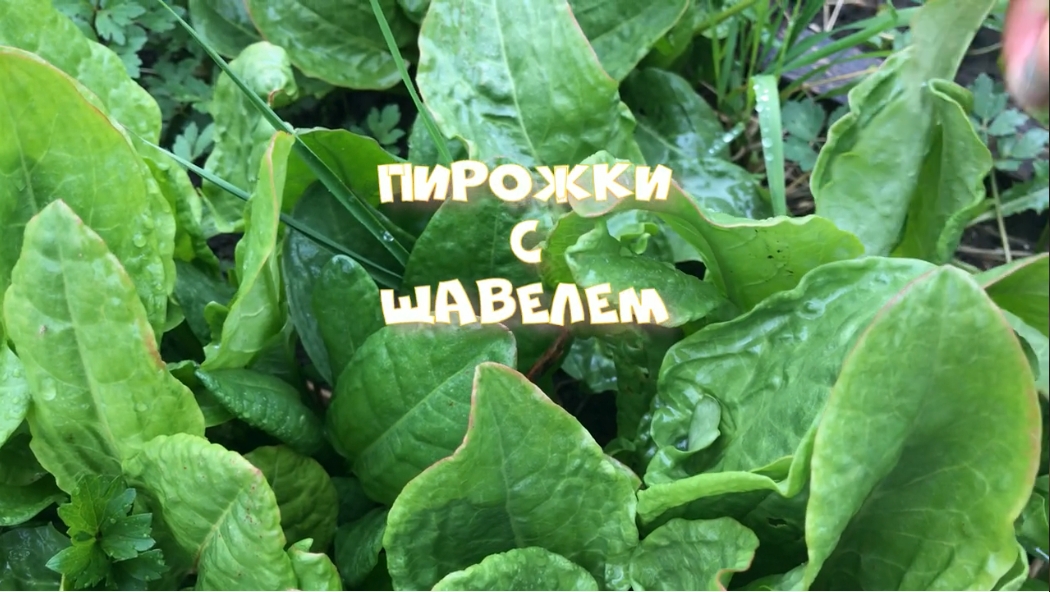 Сладкие пирожки с щавелем жареные