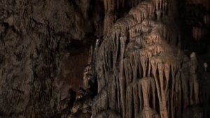 Чудеса природы