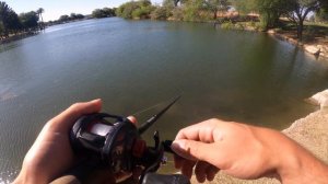 Fishing URBAN Spots in PHOENIX AZ!