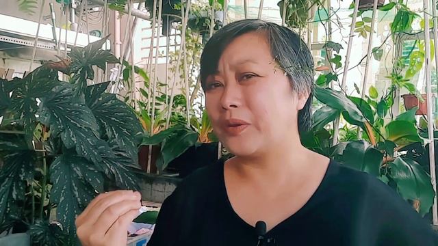 7 Secrets of a Green Thumb #greenthumb #gardening #HNTVBAGUIO смотреть онлайн