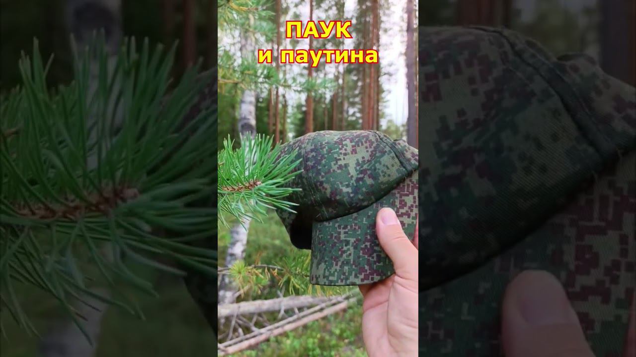 Вопрос к знатокам. Как паук это сделал? смотреть онлайн