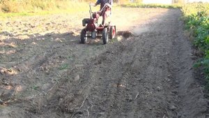 Борона для мотоблока