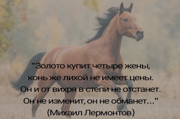 Поэт не мог видеть как лошадь пришла