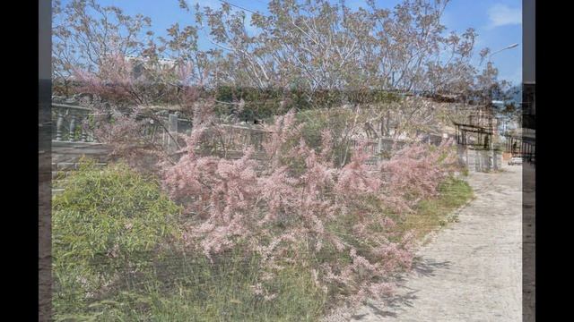 Отдых в Кирилловке: по прежним ценам и без военных.Stomko смотреть онлайн