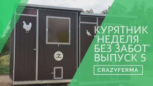 Курятник для начинающий и опытных птицеводов _Неделя без забот_! Все о системе _Air Free_! Выпуск 5!