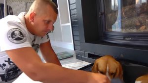 ШЕРЛОК БОИТСЯ ЛЕТЕТЬ В САМОЛЕТЕ. ПУТЕШЕСТВИЕ В ЧЕМОДАНЕ. БРОС ШОУ ПЕТ