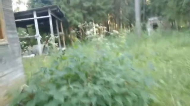 Заброшенный Пионерский лагерь в Подмосковье смотреть онлайн