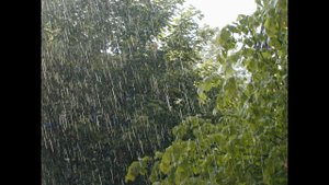 2014 08 23  ДОЖДЬ