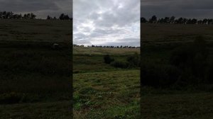 Трактор т 40а косит траву с помощью кзн без пальцевая