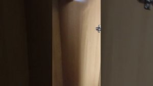 Обзор на номер в санатории ДЮНА (Витязево)