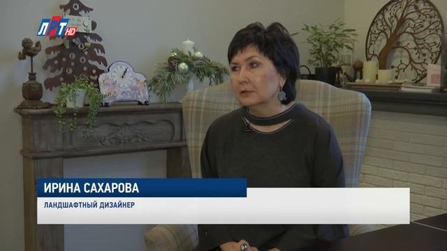 Декоративный огород в ландшафтном дизайне.
