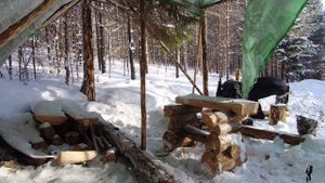№15. Строю укрытие в тайге. Без гвоздя только верёвкой.