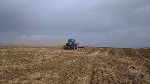 Дискуем подсолнух. New Holland T8.390 & Horsch Joker 8RT
