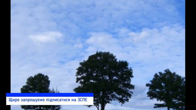 Мудра Великодня притча, яку треба почути кожному із нас. Притча три дерева