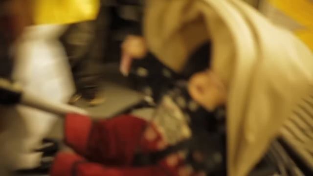 bee in the city tokyo смотреть онлайн